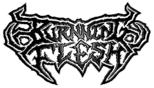 Burnning Felsh Logo